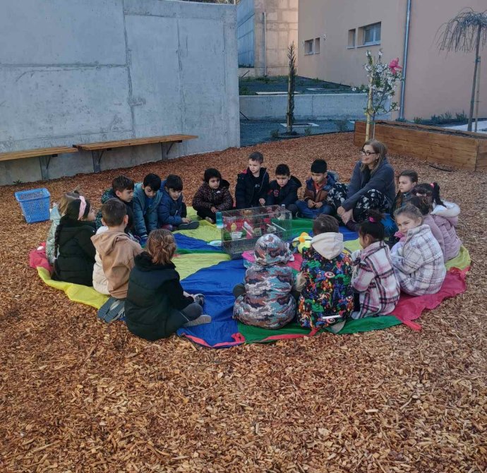 Φυσικές Επιστήμες στην υπαίθρια τάξη: Έμβια και Άβια